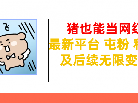 猪也能当网红-最新平台 屯粉 交流 私信 及后续无限变现