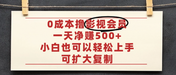 亲测，0成本可批量操作，靠卖影视会员实测月入30000+